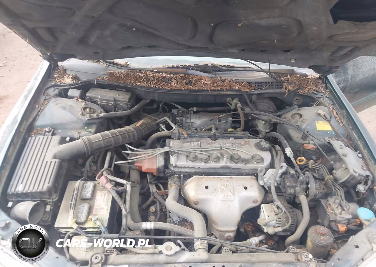 1999 Honda Accord Ex VIN:1HGCG5652XA140341 - 10