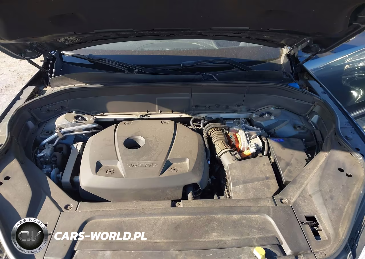 2019 Volvo Xc90 Hybrid T8 Inscription VIN:YV4BR0CL3K1431592 - 10