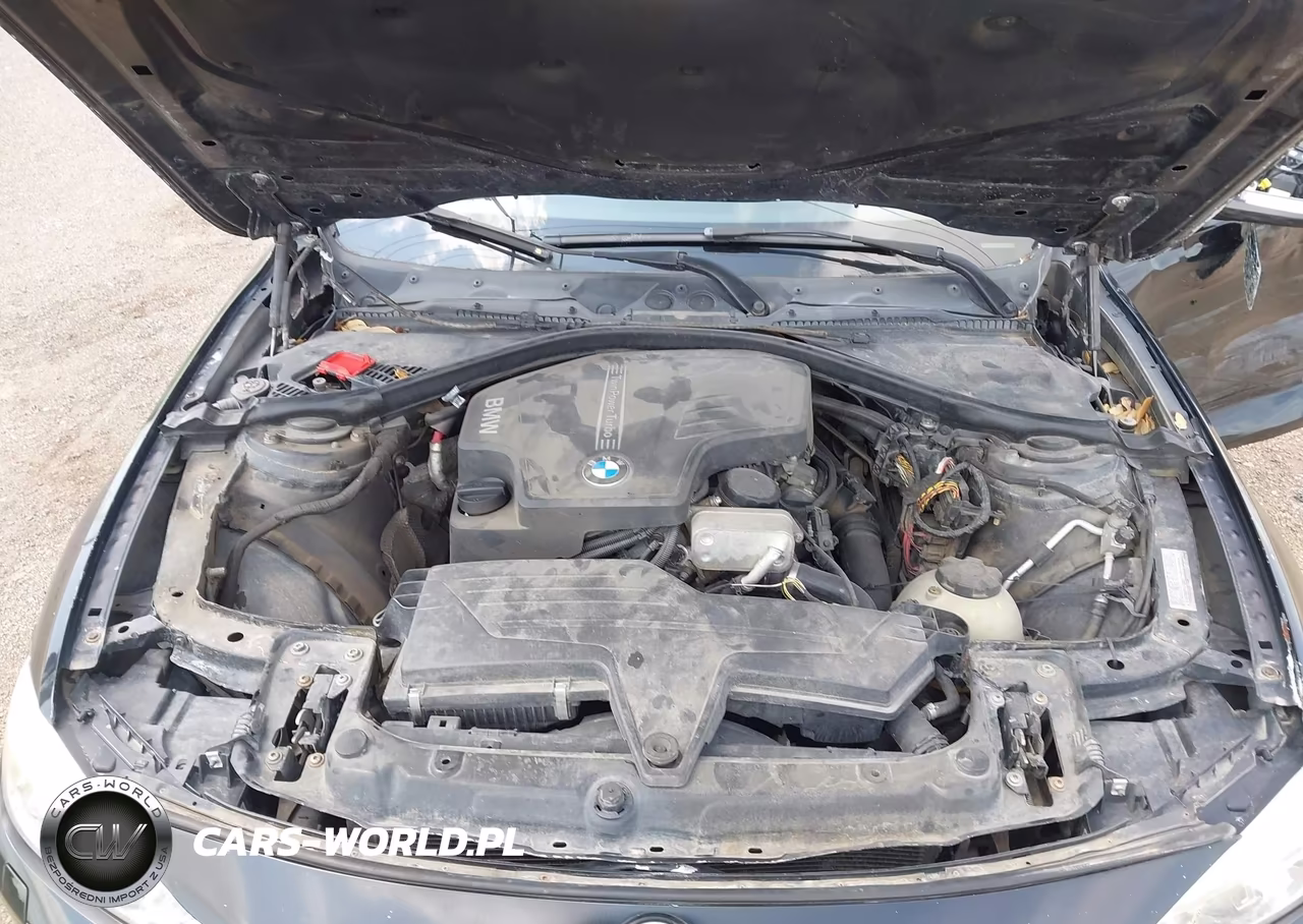 2014 BMW 320I xDrive VIN:WBA3C3C54EPV90034 - 10