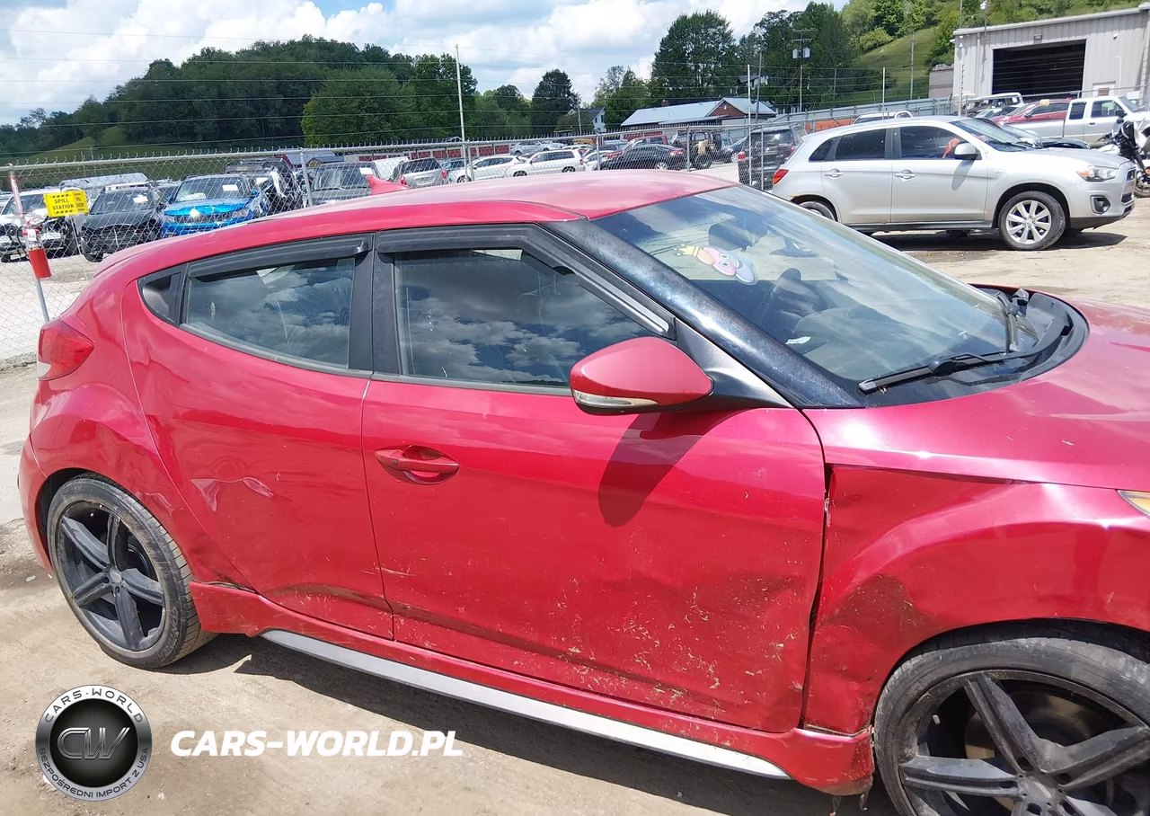 2013 Hyundai Veloster Turbo W-Black VIN:KMHTC6AE9DU136039 - 13