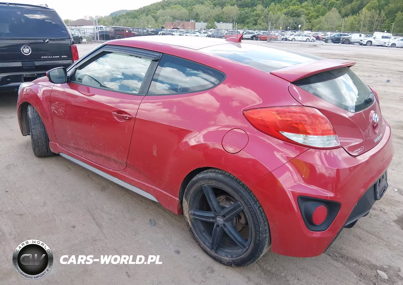 2013 Hyundai Veloster Turbo W-Black VIN:KMHTC6AE9DU136039 - 3