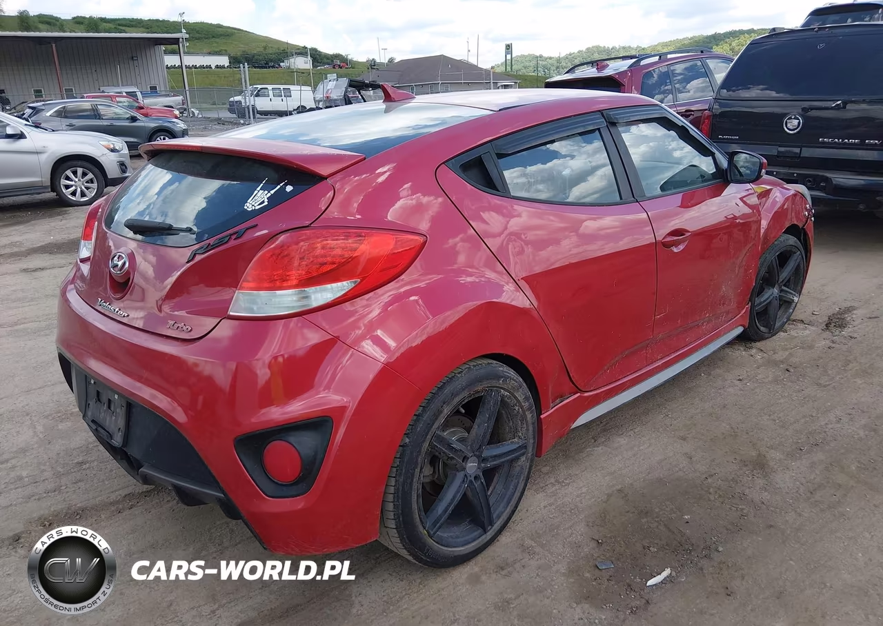 2013 Hyundai Veloster Turbo W-Black VIN:KMHTC6AE9DU136039 - 4