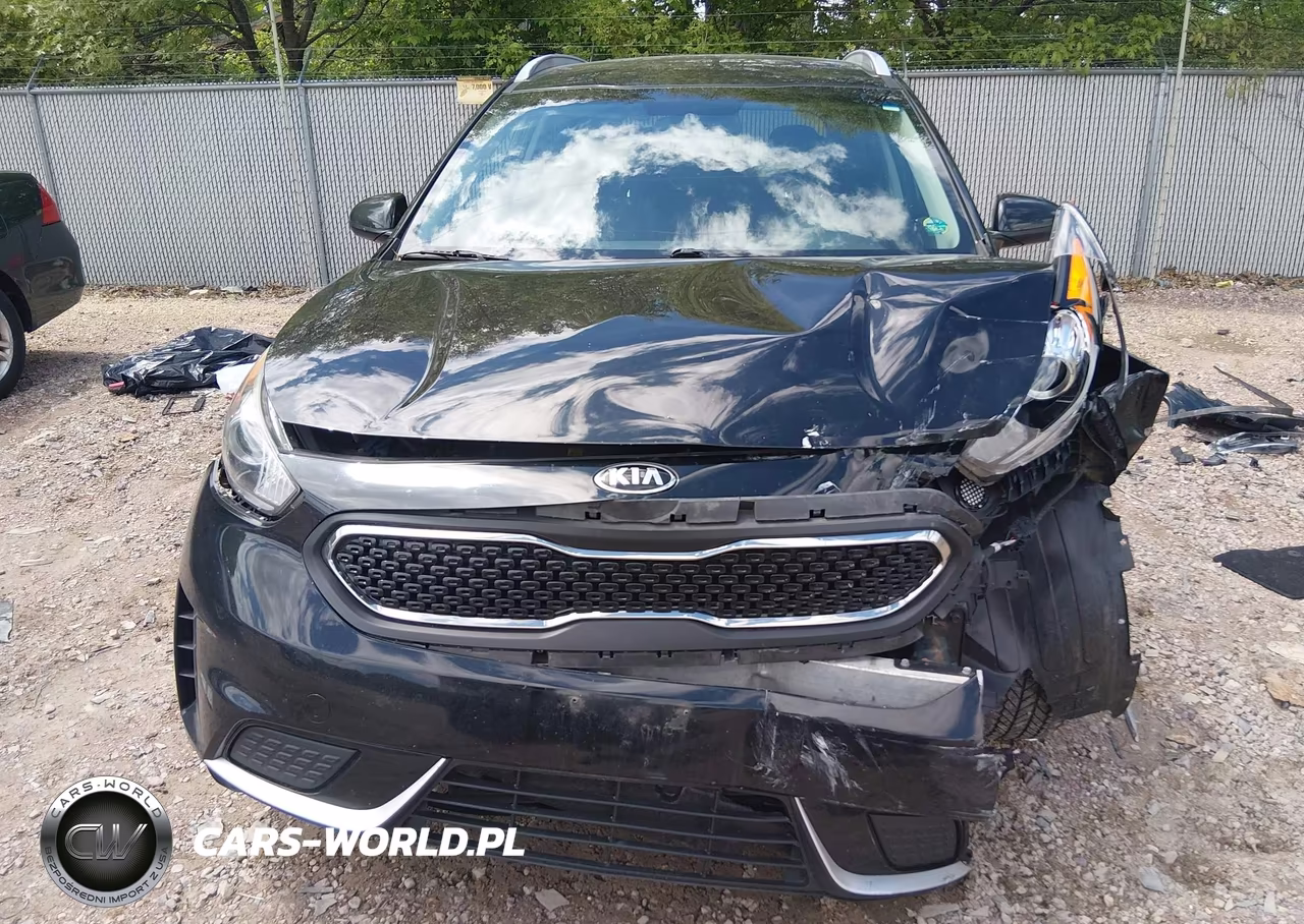 2019 Kia Niro Lx VIN:KNDCB3LC5K5240388 - 13