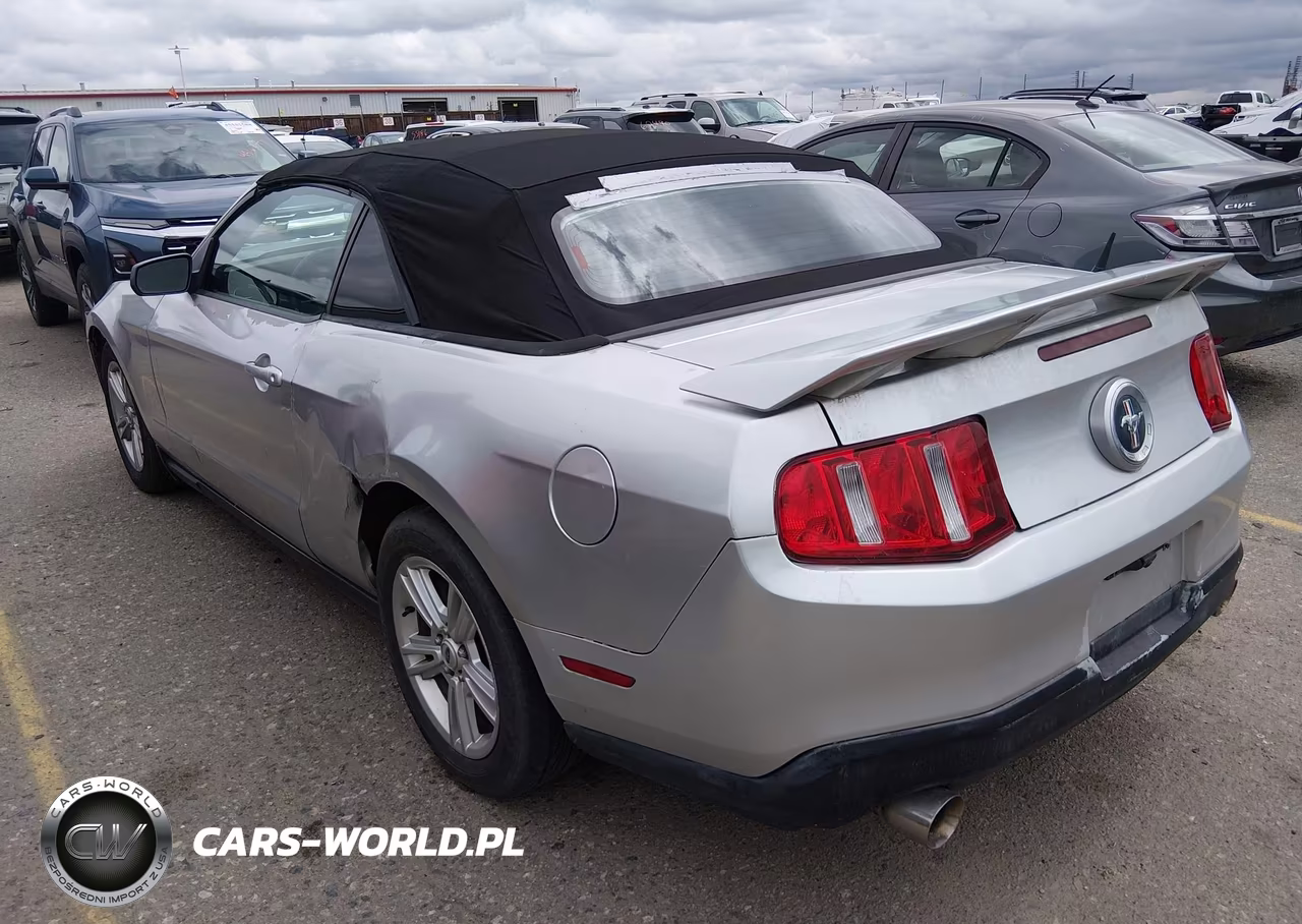 2010 Ford Mustang V6-V6 Premium VIN:1ZVBP8EN1A5122343 - 3