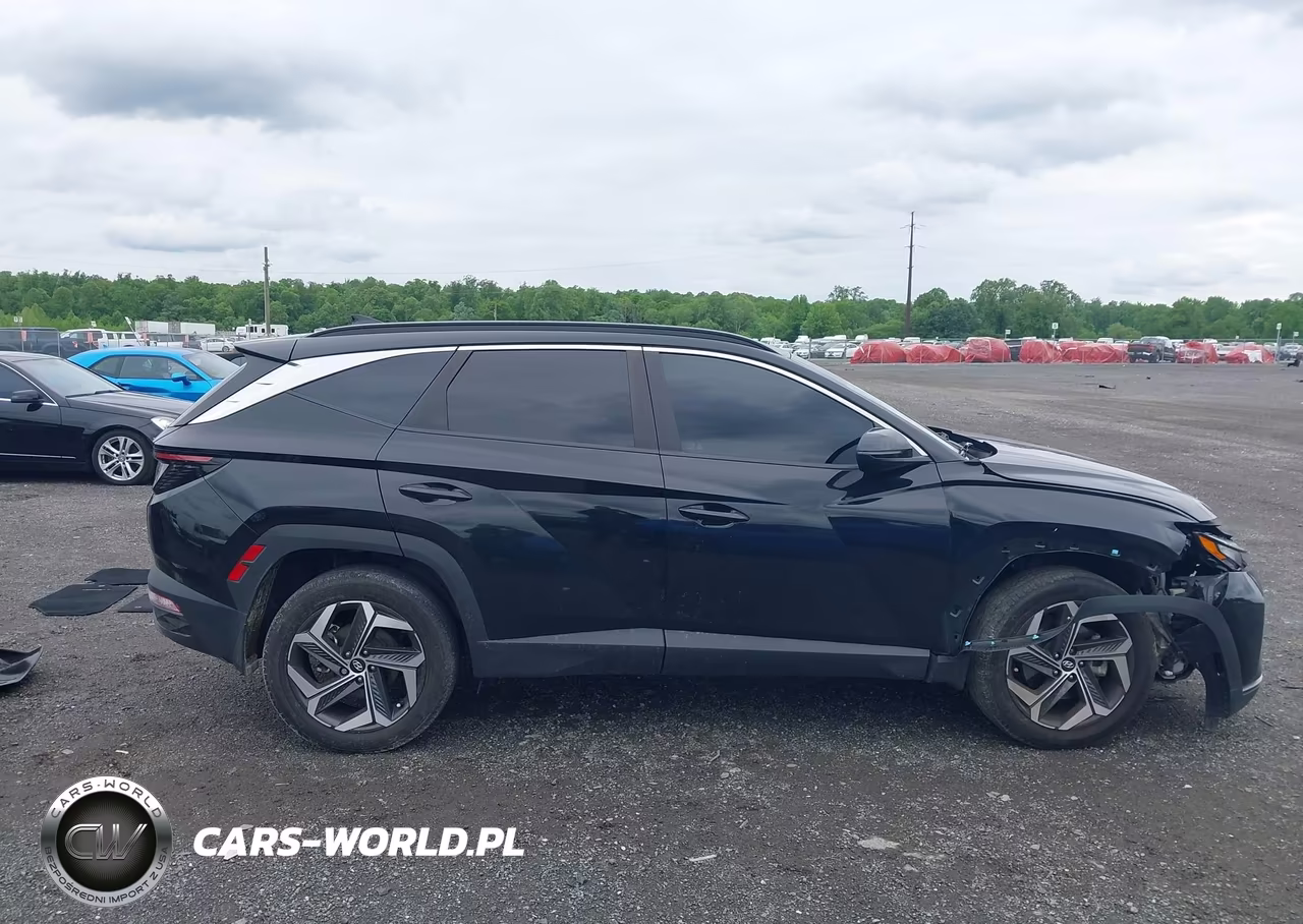 2023 Hyundai Tucson Sel VIN:5NMJFCAE3PH224369 - 13