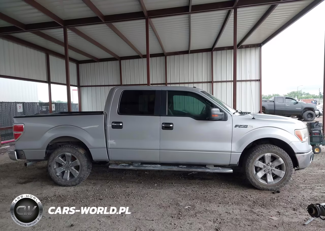 2013 Ford F150 Supercrew VIN:1FTEW1CM0DKD52806 - 13
