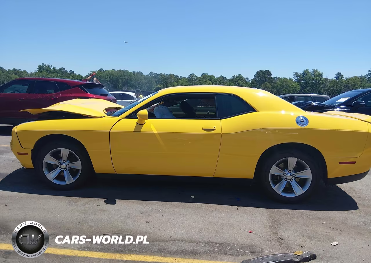 2018 Dodge Challenger Sxt VIN:2C3CDZAG3JH232868 - 14