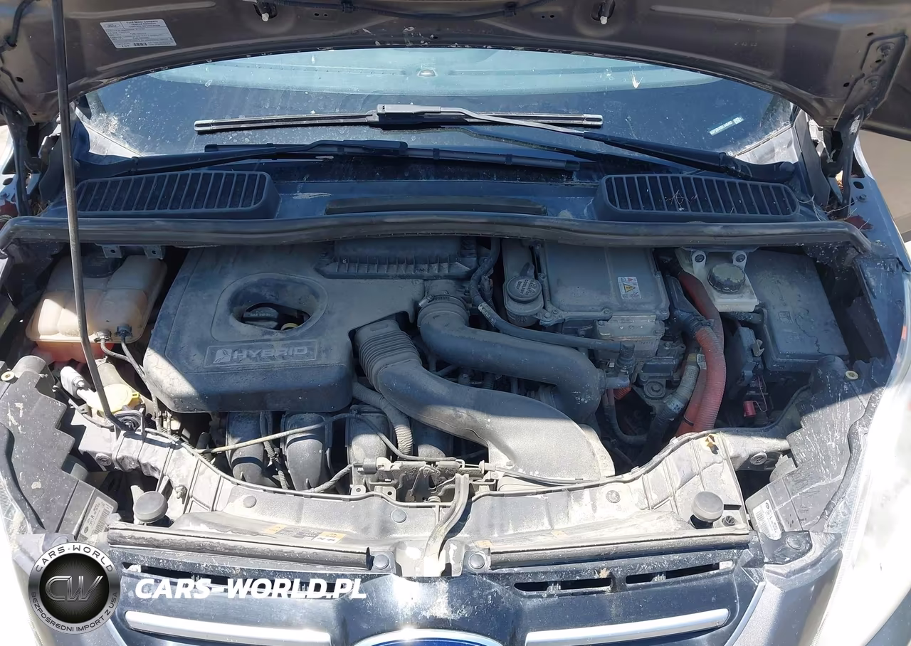 2013 Ford C-Max Hybrid Sel VIN:1FADP5BU0DL546463 - 10
