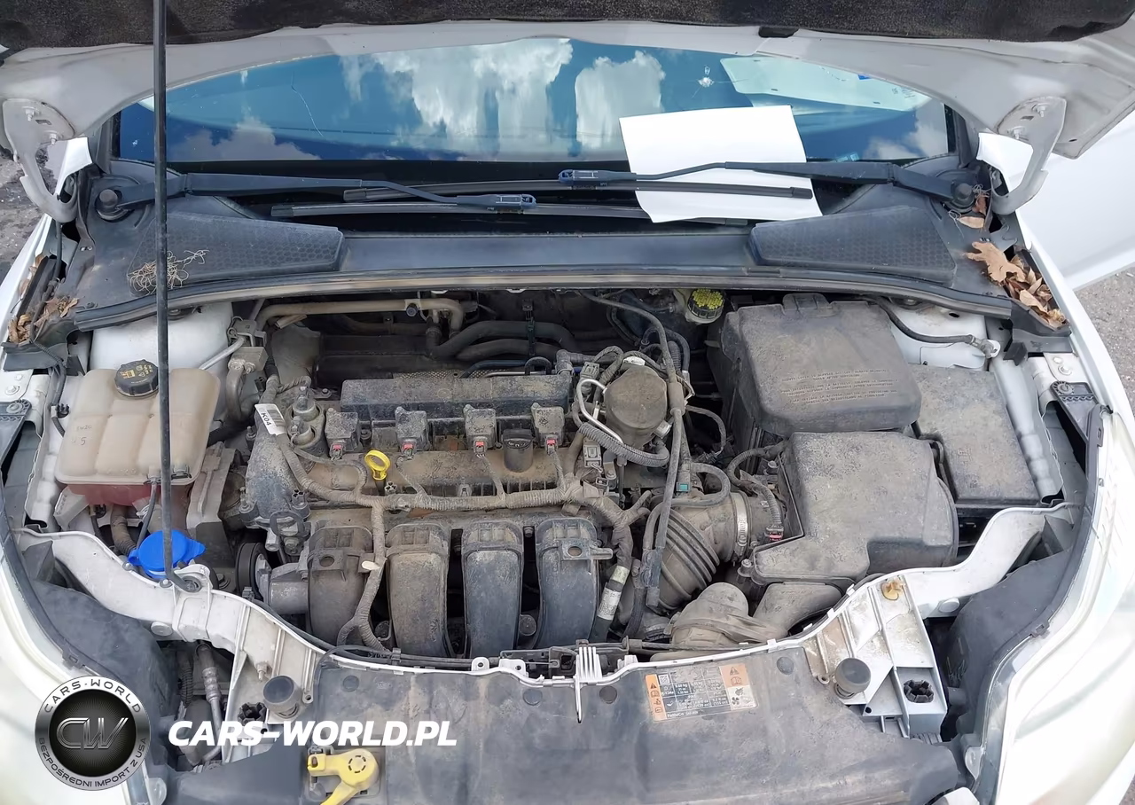 2014 Ford Focus Se VIN:1FADP3F23EL389980 - 10
