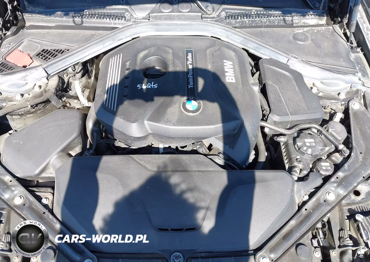 2020 BMW 230I xDrive VIN:WBA2K1C05L7F93824 - 10