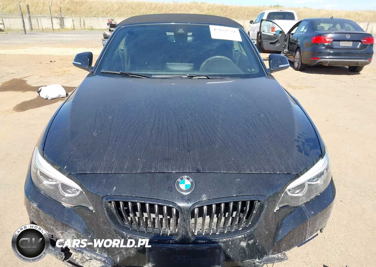 2020 BMW 230I xDrive VIN:WBA2K1C05L7F93824 - 12