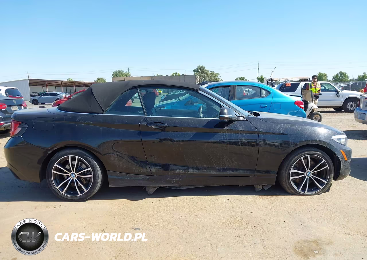 2020 BMW 230I xDrive VIN:WBA2K1C05L7F93824 - 13