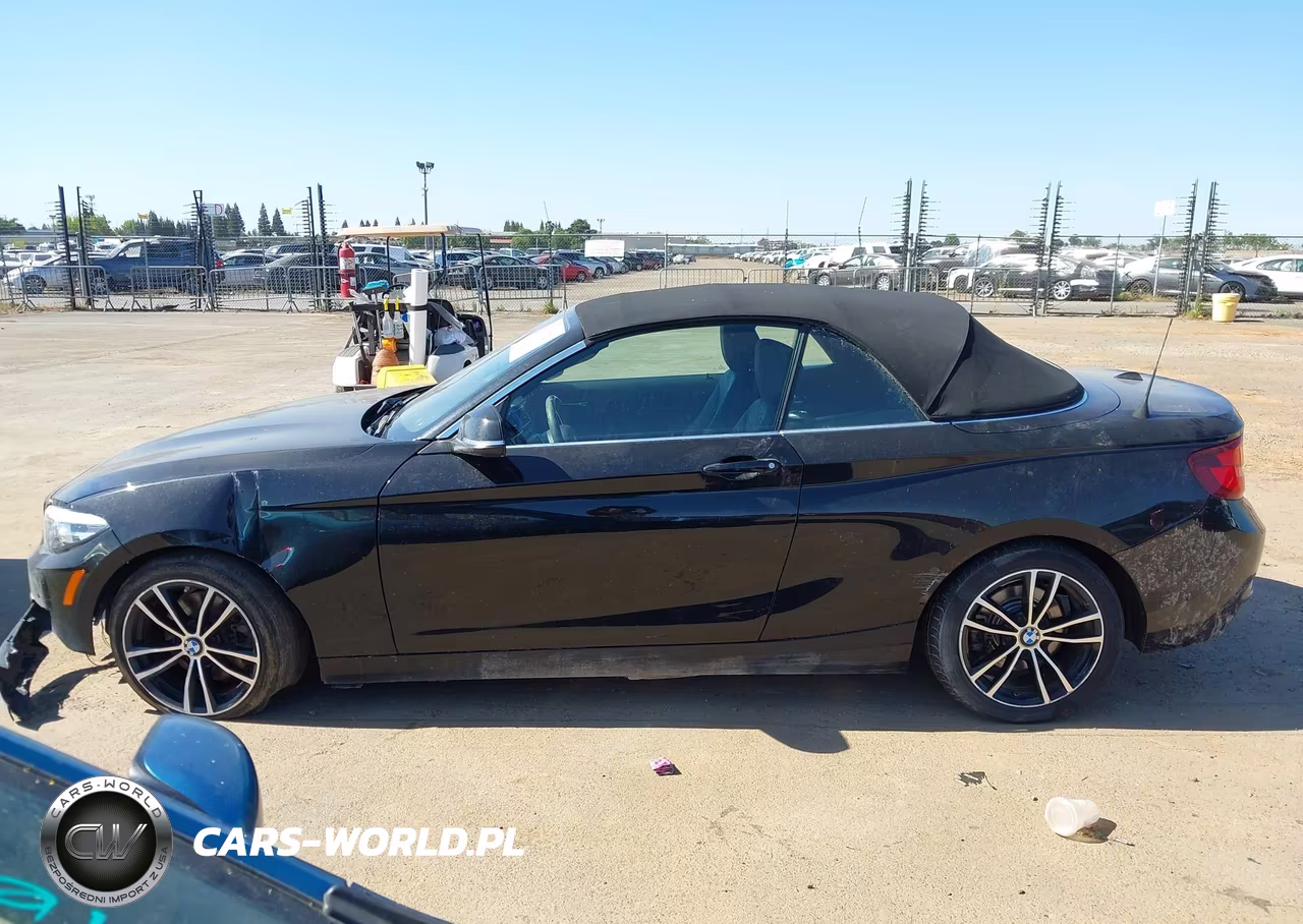 2020 BMW 230I xDrive VIN:WBA2K1C05L7F93824 - 14