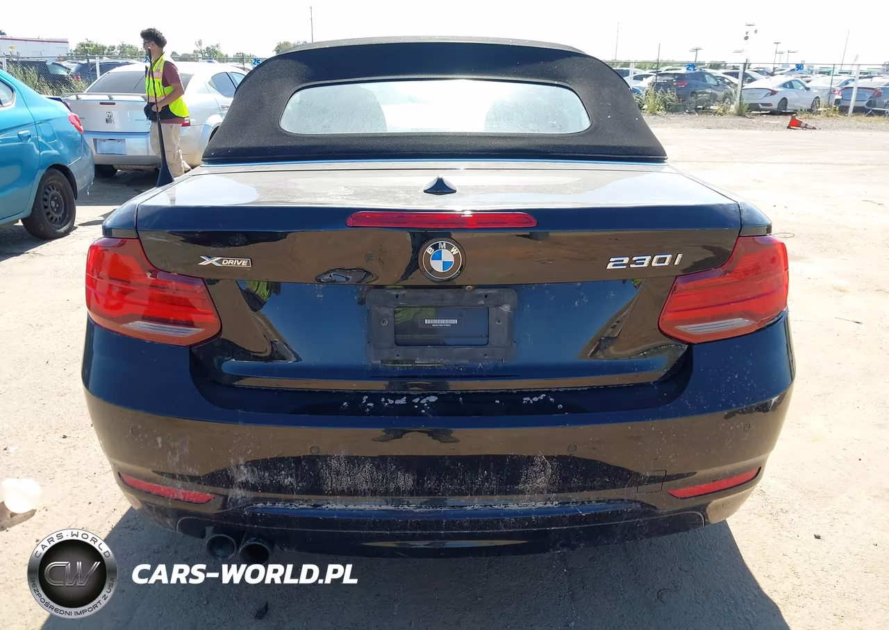 2020 BMW 230I xDrive VIN:WBA2K1C05L7F93824 - 16