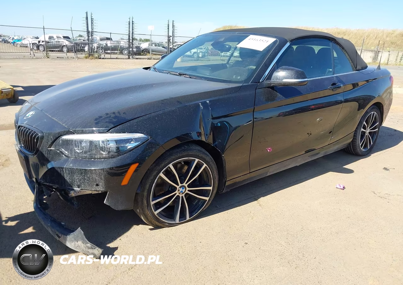 2020 BMW 230I xDrive VIN:WBA2K1C05L7F93824 - 2