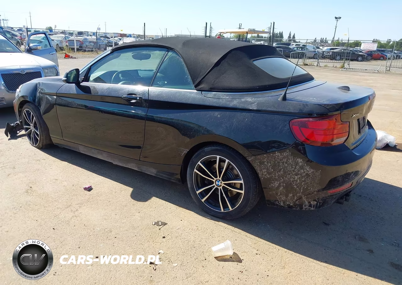 2020 BMW 230I xDrive VIN:WBA2K1C05L7F93824 - 3