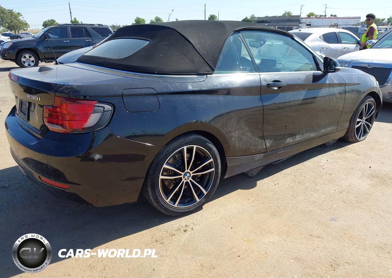 2020 BMW 230I xDrive VIN:WBA2K1C05L7F93824 - 4