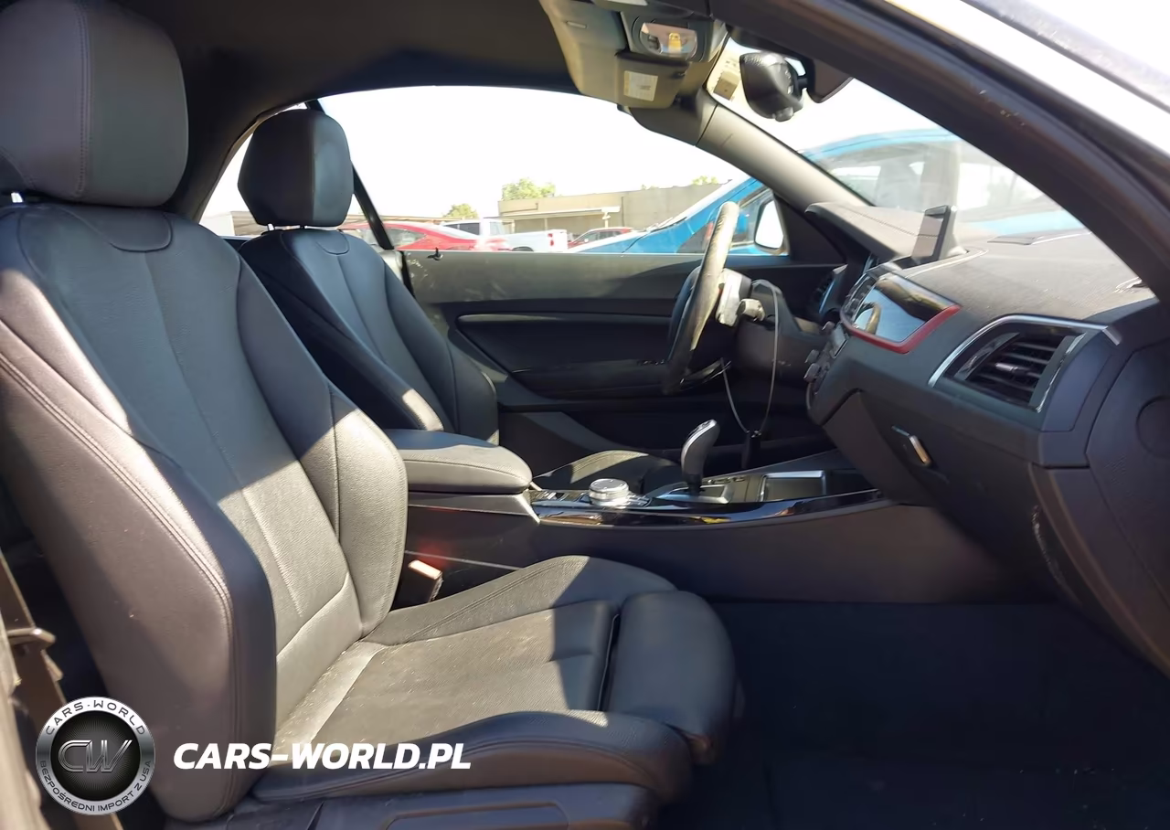 2020 BMW 230I xDrive VIN:WBA2K1C05L7F93824 - 5