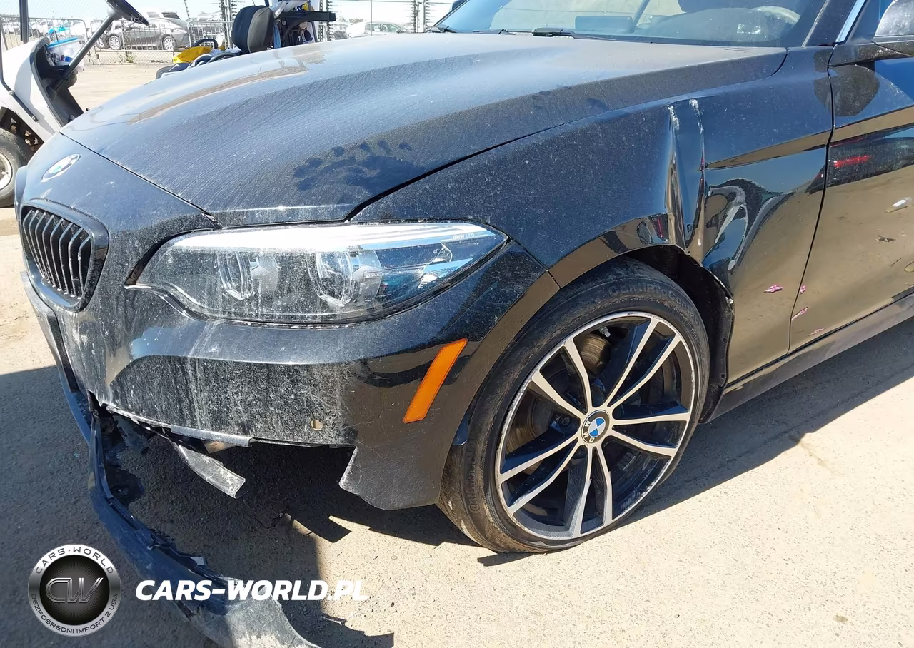 2020 BMW 230I xDrive VIN:WBA2K1C05L7F93824 - 6