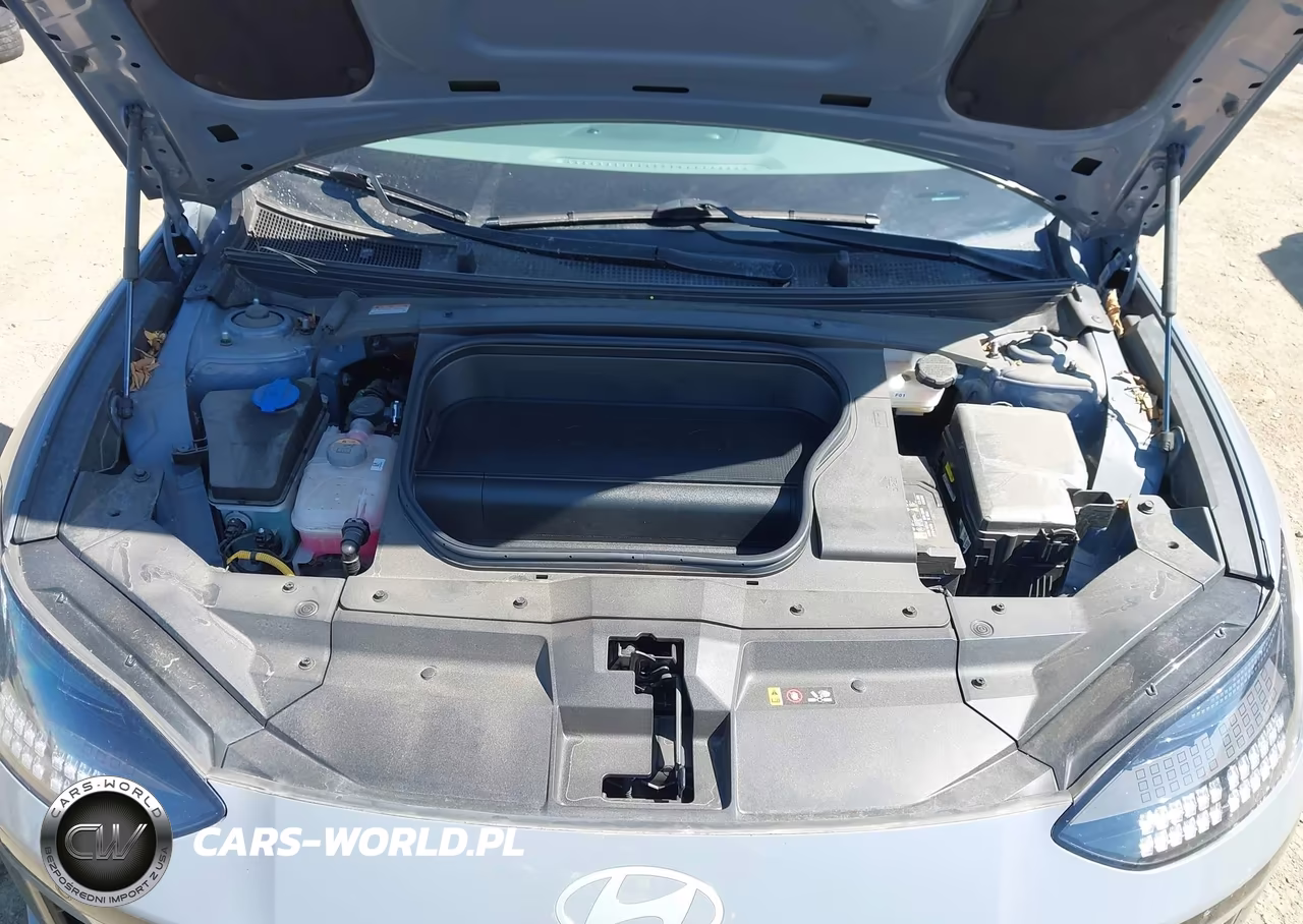 2024 Hyundai Ioniq 6 Sel VIN:KMHM34AA8RA073319 - 10