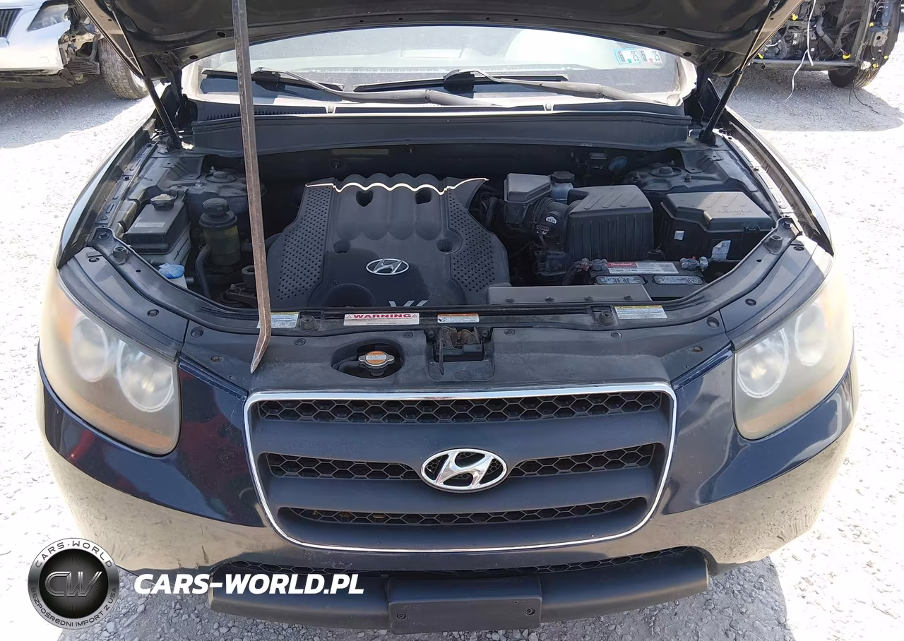 2007 Hyundai Santa Fe Gls VIN:5NMSG13D07H099616 - 10