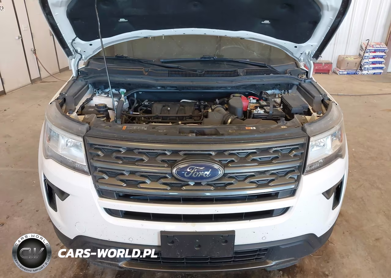 2019 Ford Explorer Xlt VIN:1FM5K8D80KGA14324 - 10