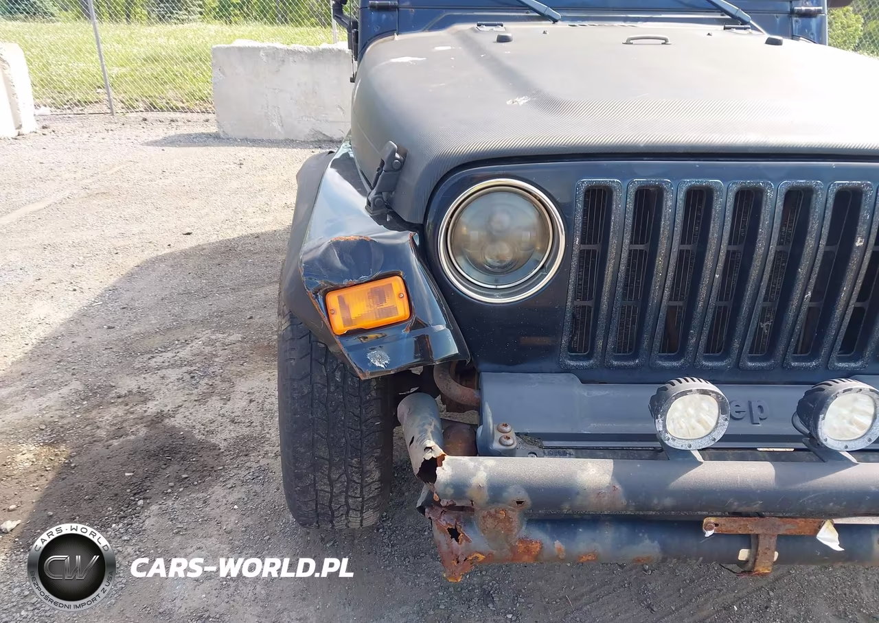 1998 Jeep Wrangler Sport VIN:1J4FY19S8WP743187 - 13