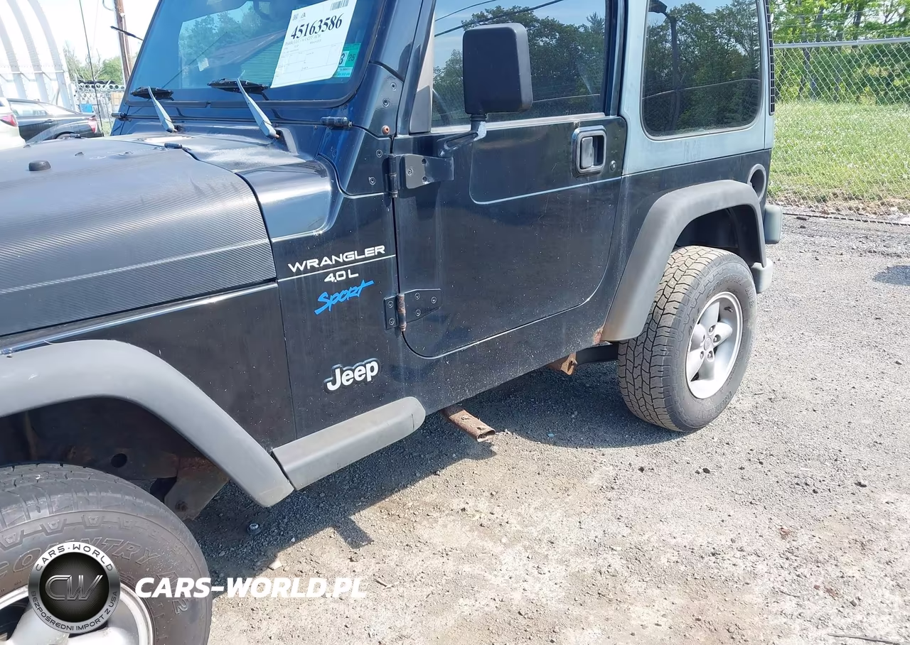 1998 Jeep Wrangler Sport VIN:1J4FY19S8WP743187 - 14