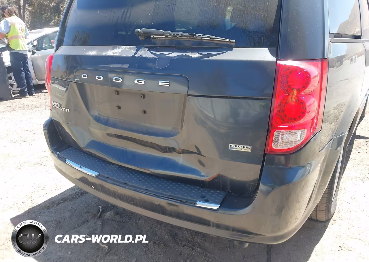 2013 Dodge Grand Caravan Sxt VIN:2C4RDGCG7DR752187 - 6