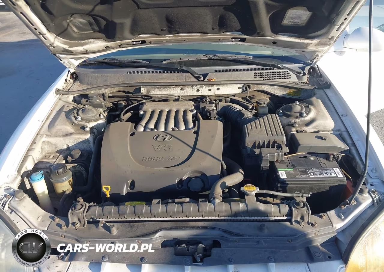 2000 Hyundai Sonata Gls V6 VIN:KMHWF35V4YA313326 - 10