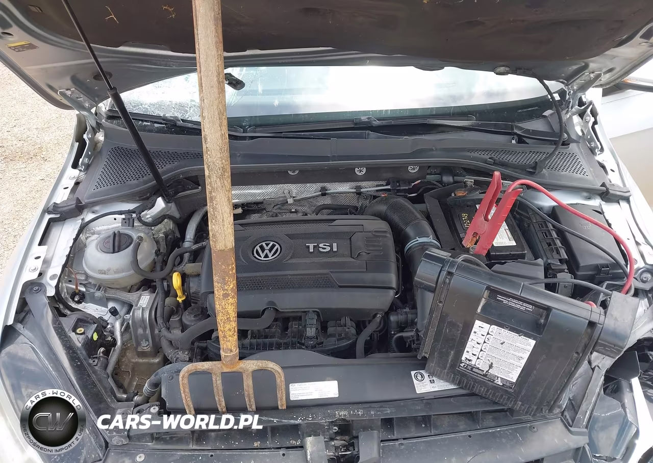 2017 Volkswagen Golf Sportwagen Tsi S VIN:3VWC17AU1HM504258 - 10