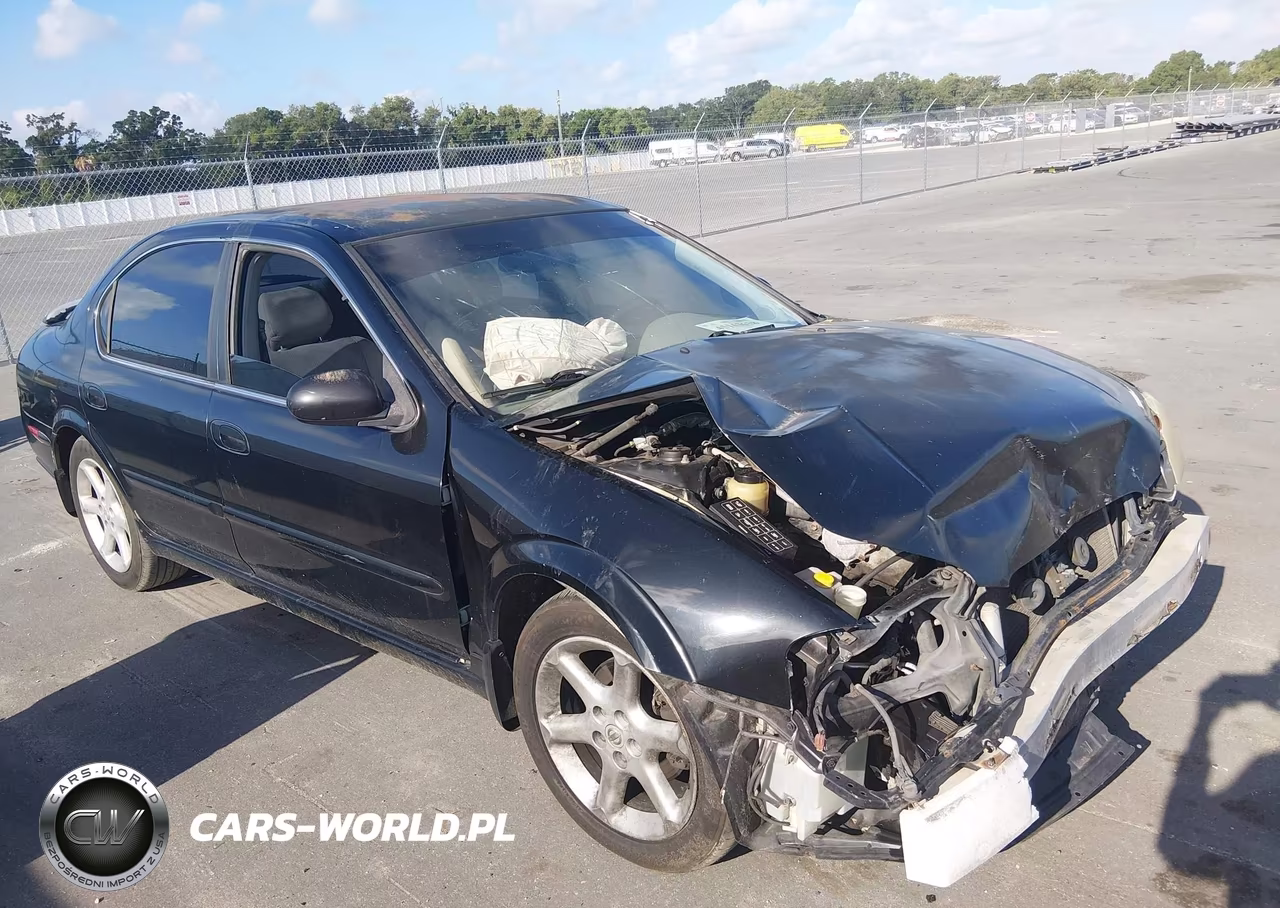 2002 Nissan Maxima Se