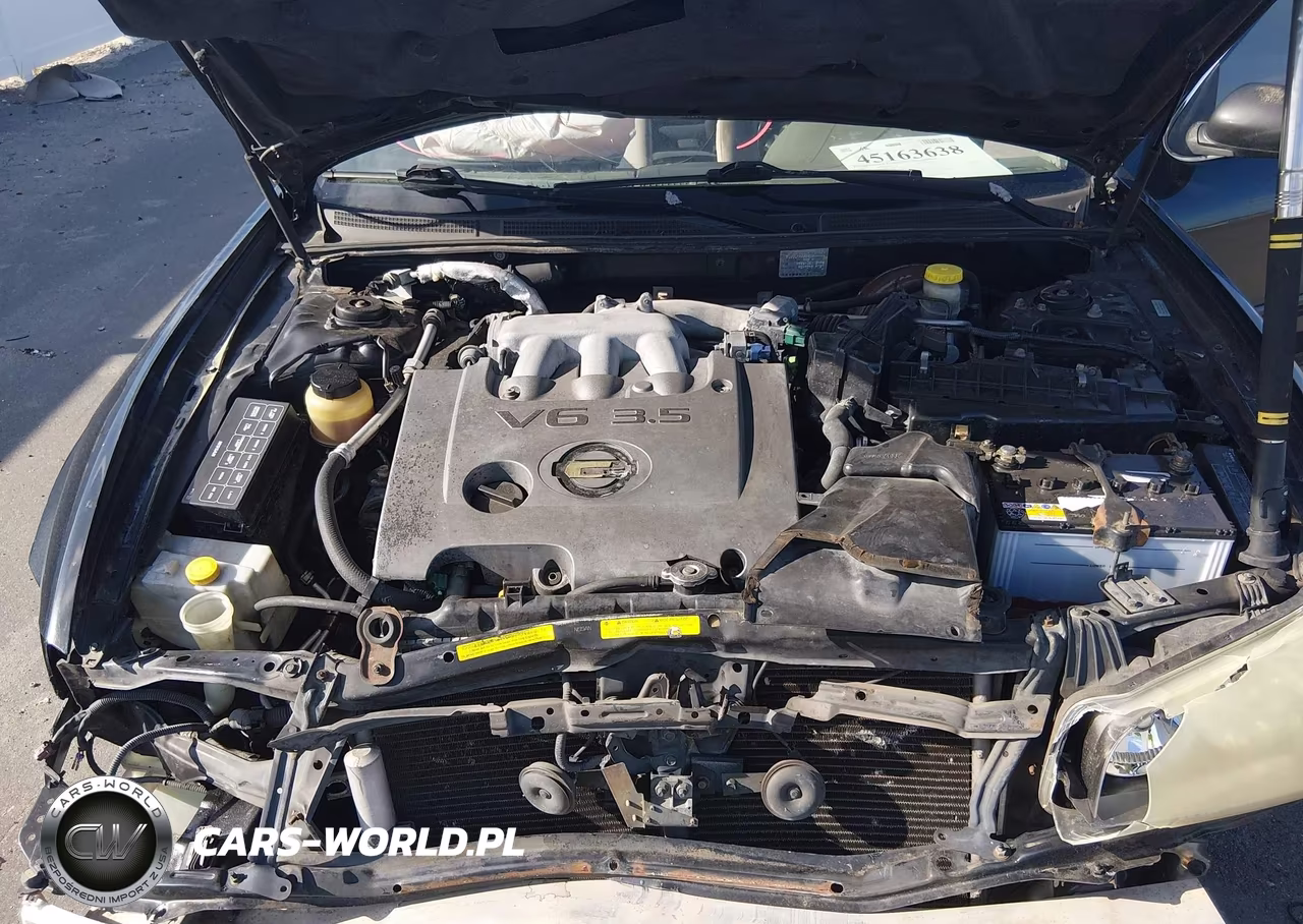2002 Nissan Maxima Se VIN:JN1DA31D12T454036 - 10