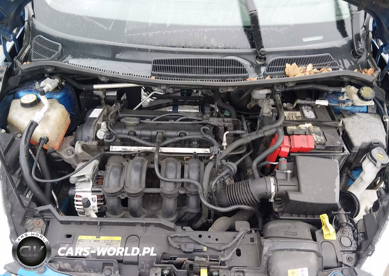 2011 Ford Fiesta Se VIN:3FADP4EJ2BM153040 - 10