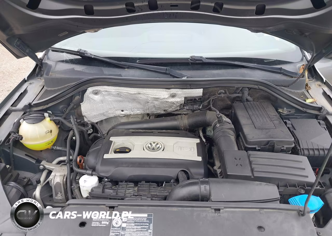 2010 Volkswagen Tiguan S VIN:WVGAV7AX7AW532625 - 10