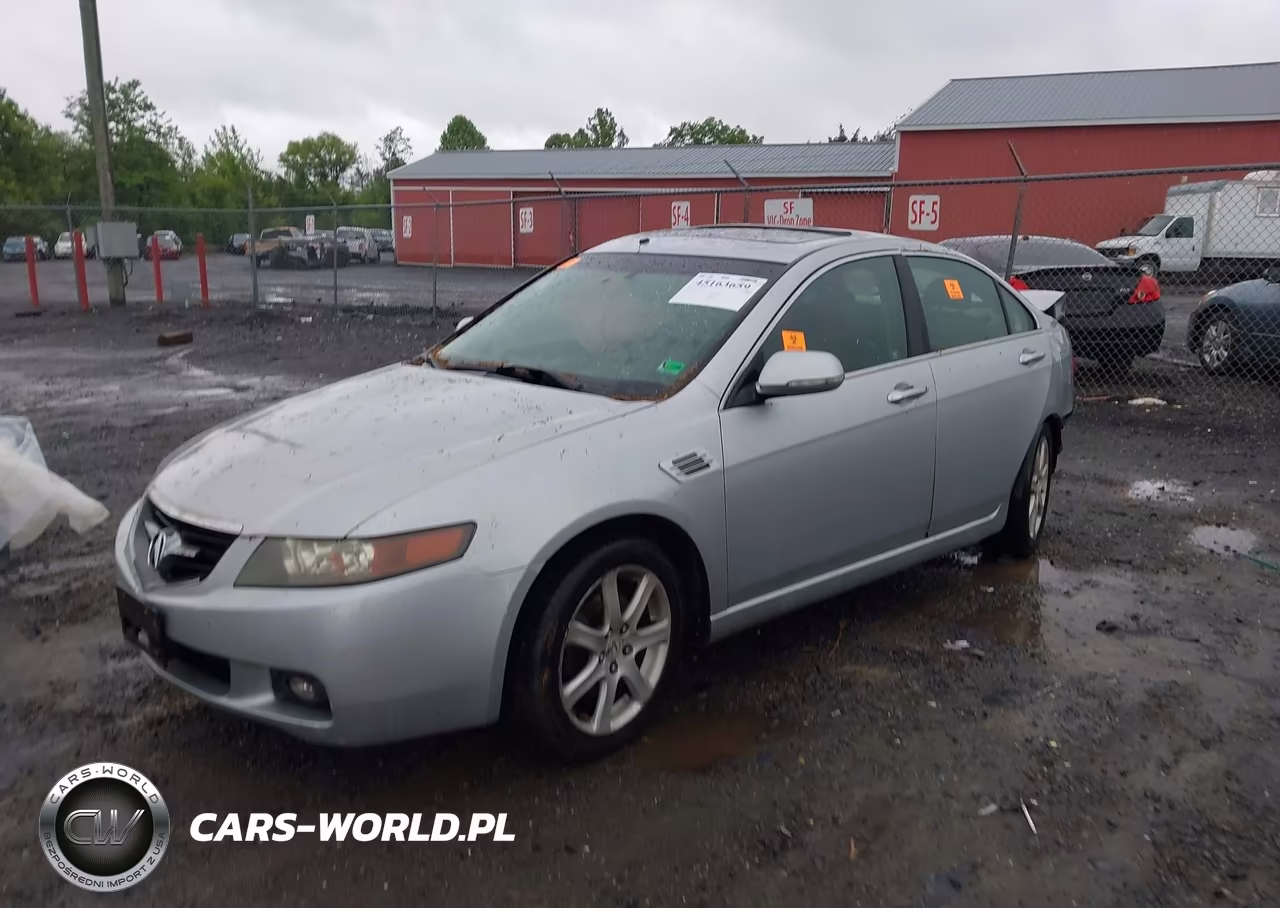 2004 Acura Tsx VIN:JH4CL96854C031981 - 2