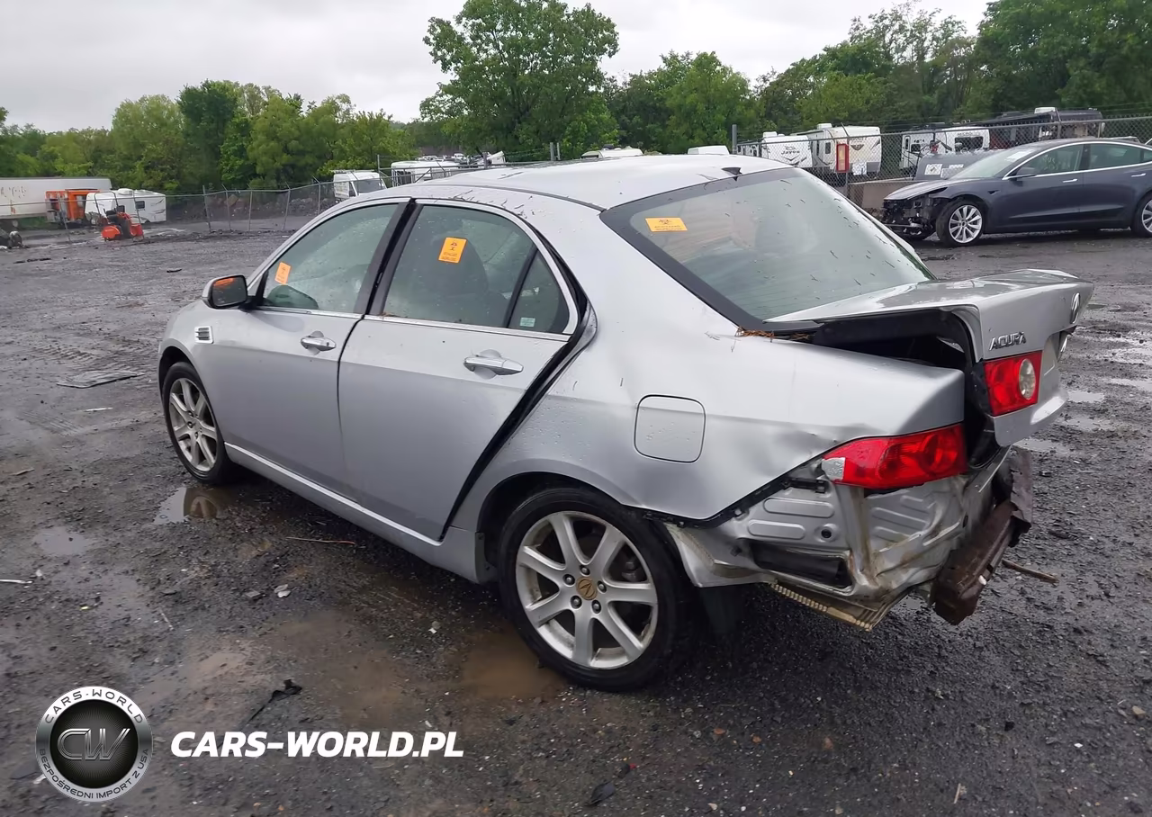 2004 Acura Tsx VIN:JH4CL96854C031981 - 3