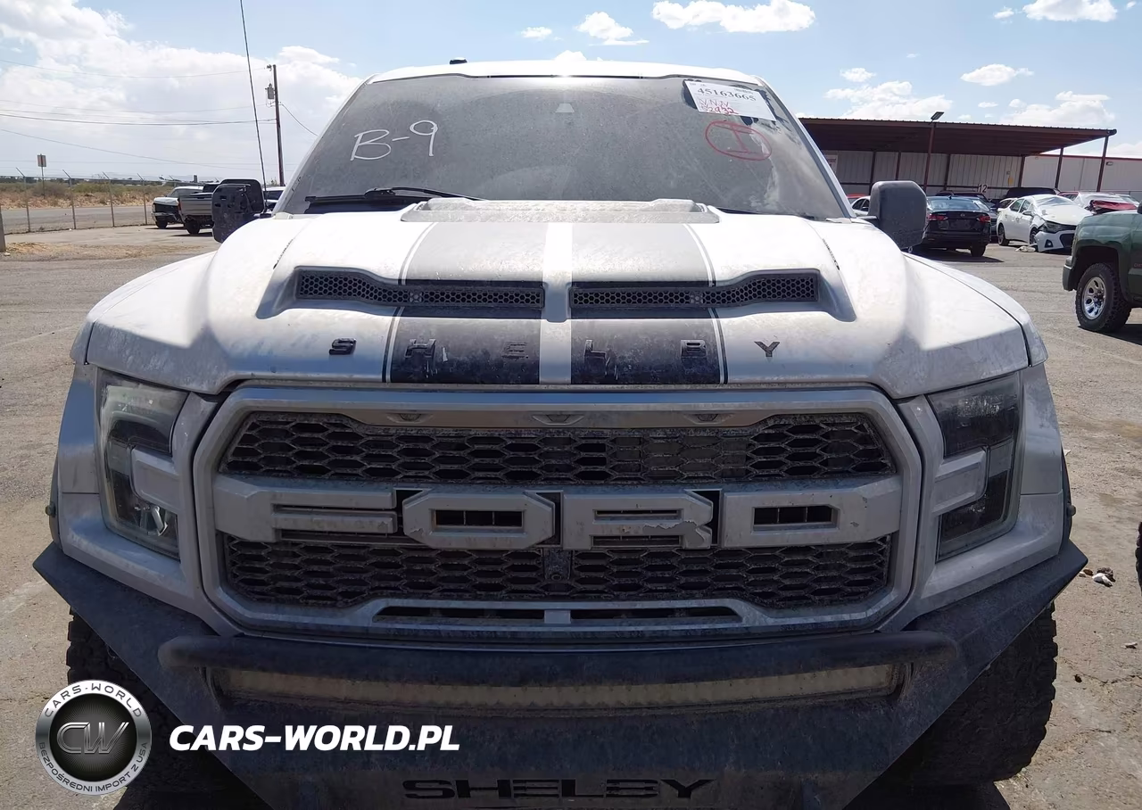 2017 Ford F-150 Raptor VIN:1FTFW1RG9HFB66590 - 12
