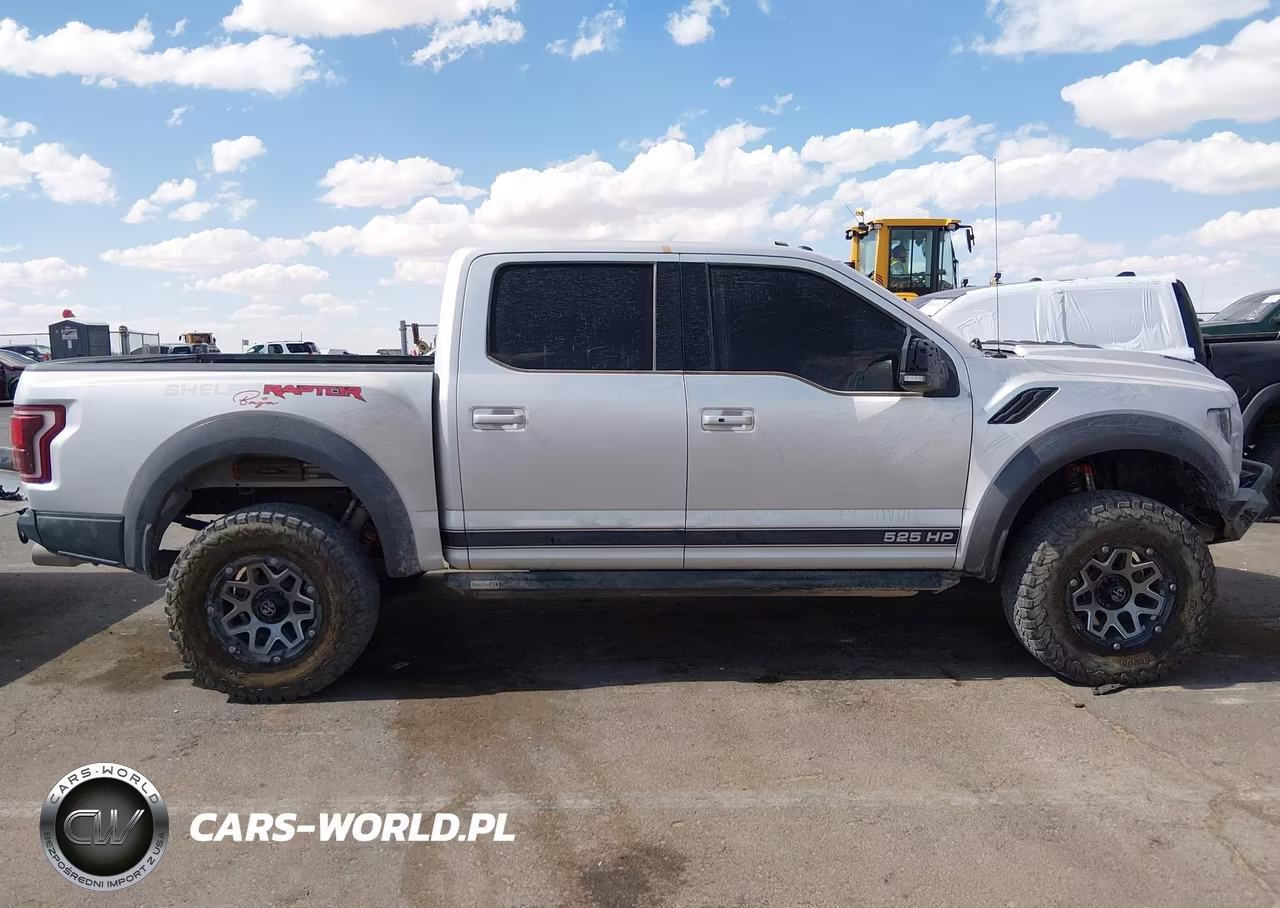 2017 Ford F-150 Raptor VIN:1FTFW1RG9HFB66590 - 13