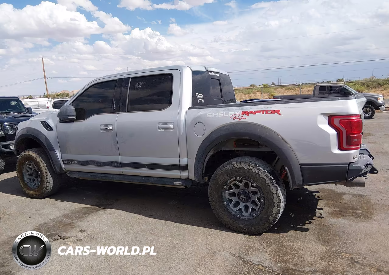2017 Ford F-150 Raptor VIN:1FTFW1RG9HFB66590 - 14