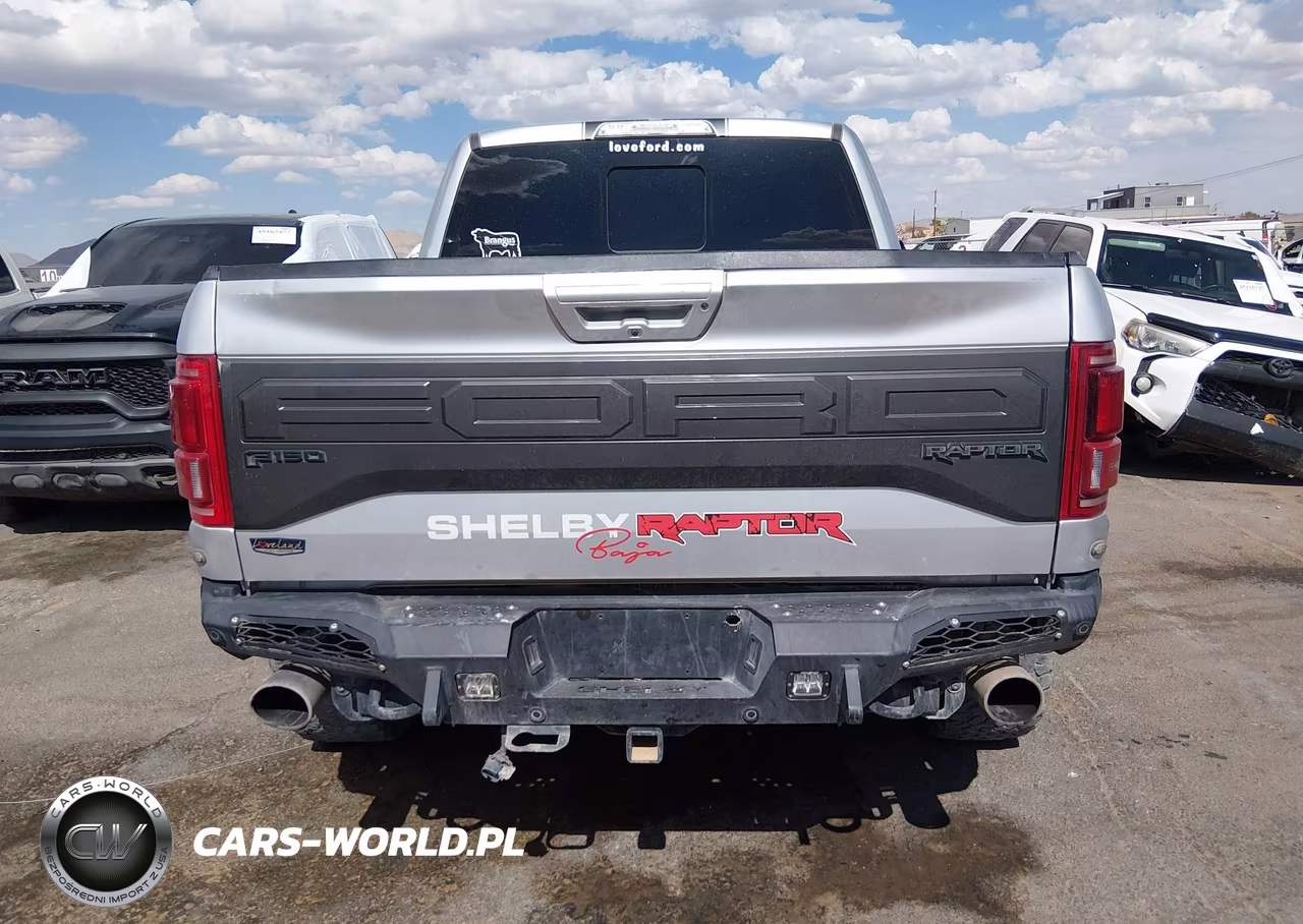 2017 Ford F-150 Raptor VIN:1FTFW1RG9HFB66590 - 16