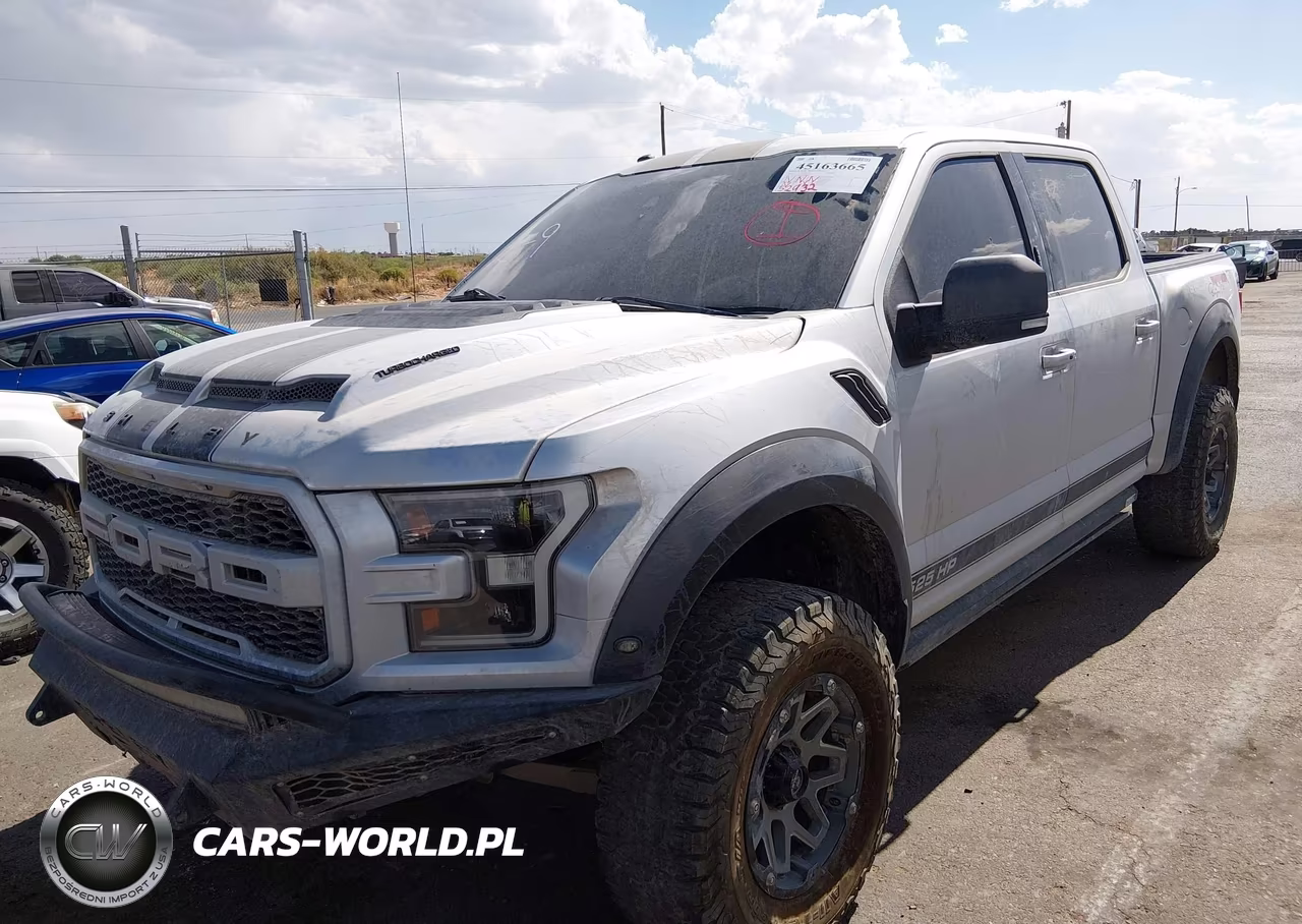 2017 Ford F-150 Raptor VIN:1FTFW1RG9HFB66590 - 2