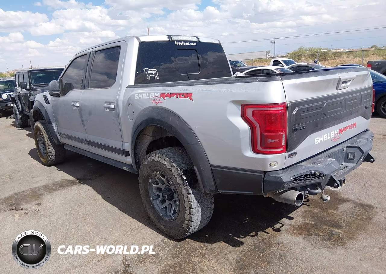 2017 Ford F-150 Raptor VIN:1FTFW1RG9HFB66590 - 3