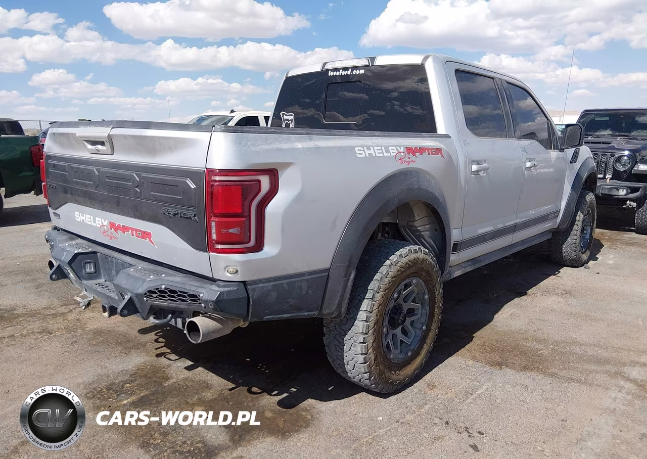 2017 Ford F-150 Raptor VIN:1FTFW1RG9HFB66590 - 4