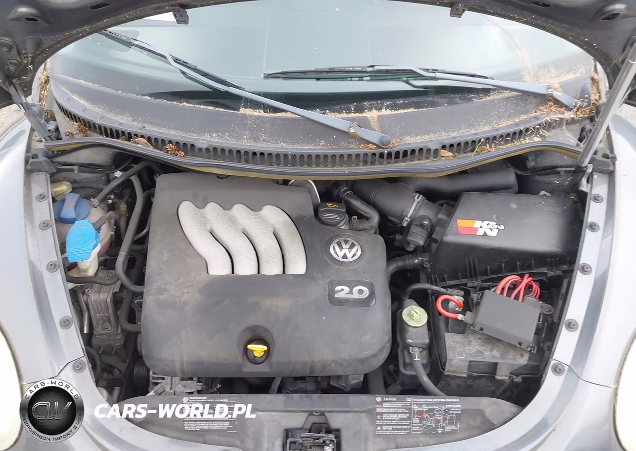 2004 Volkswagen New Beetle Gls 2.0L VIN:3VWCK31C64M404776 - 10