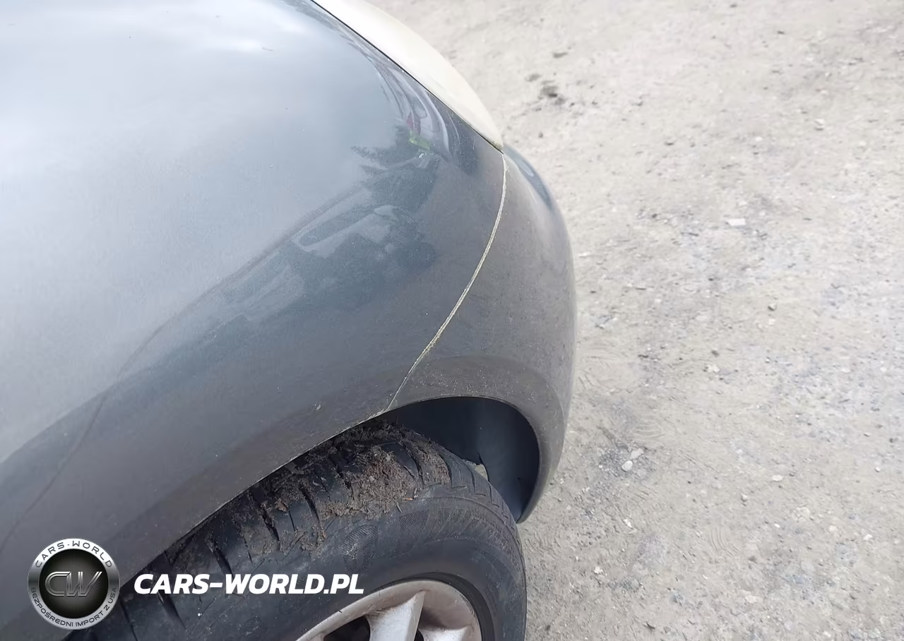2004 Volkswagen New Beetle Gls 2.0L VIN:3VWCK31C64M404776 - 13