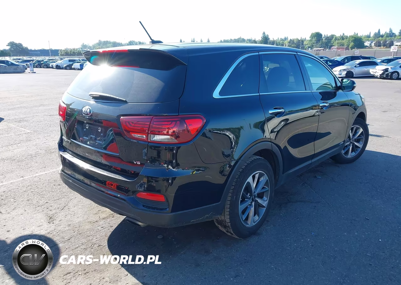 2020 Kia Sorento 3.3L Lx VIN:5XYPGDA57LG683812 - 4