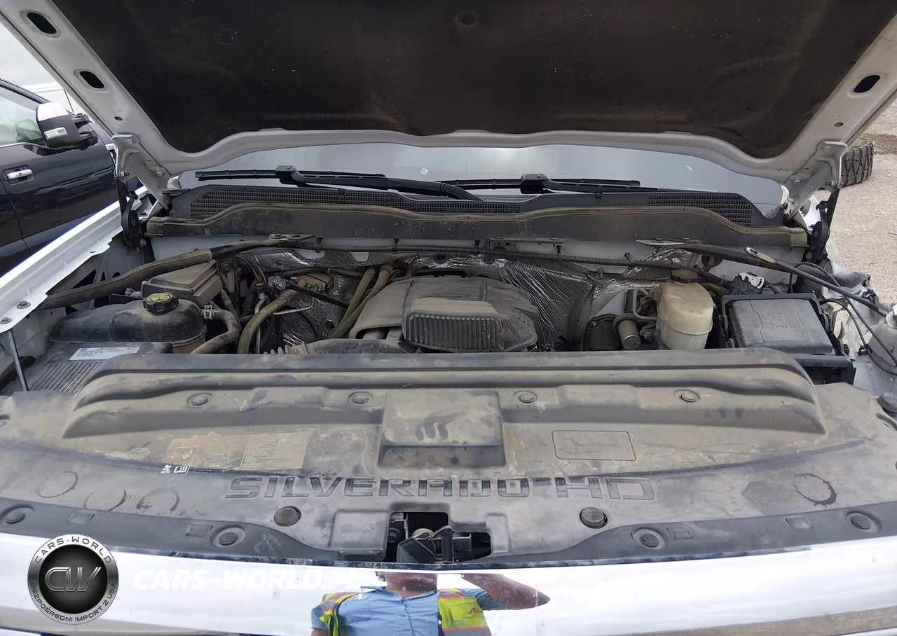2016 Chevrolet Silverado 2500Hd Wt VIN:1GC2CUEG0GZ428119 - 10