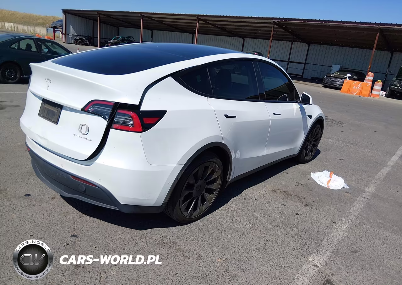 2021 Tesla Model Y Long Range Dual Motor All-Wheel Drive VIN:5YJYGDEE6MF100265 - 4