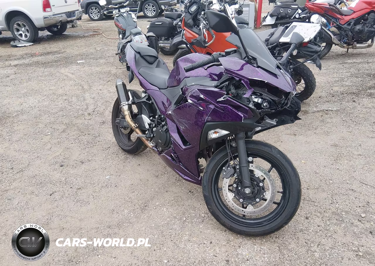 2024 Kawasaki Ex500